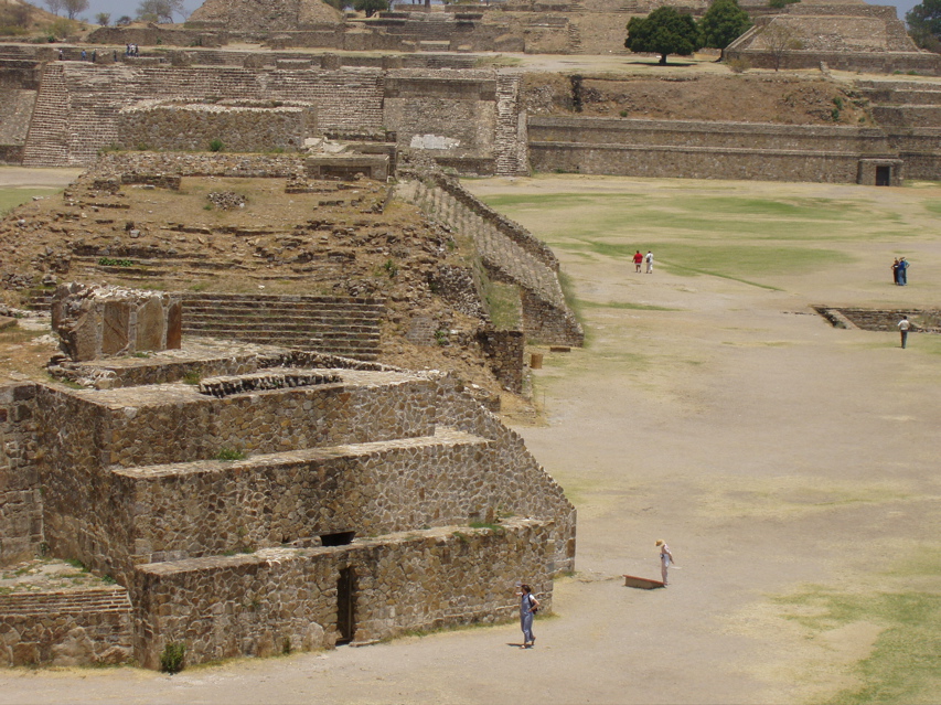 2000 yr old