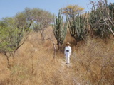 Hiking to the ruins