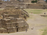 2000 yr old