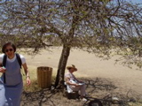finding shade