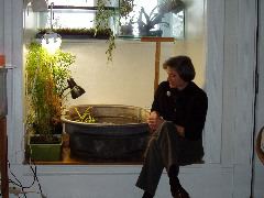 Fish pond