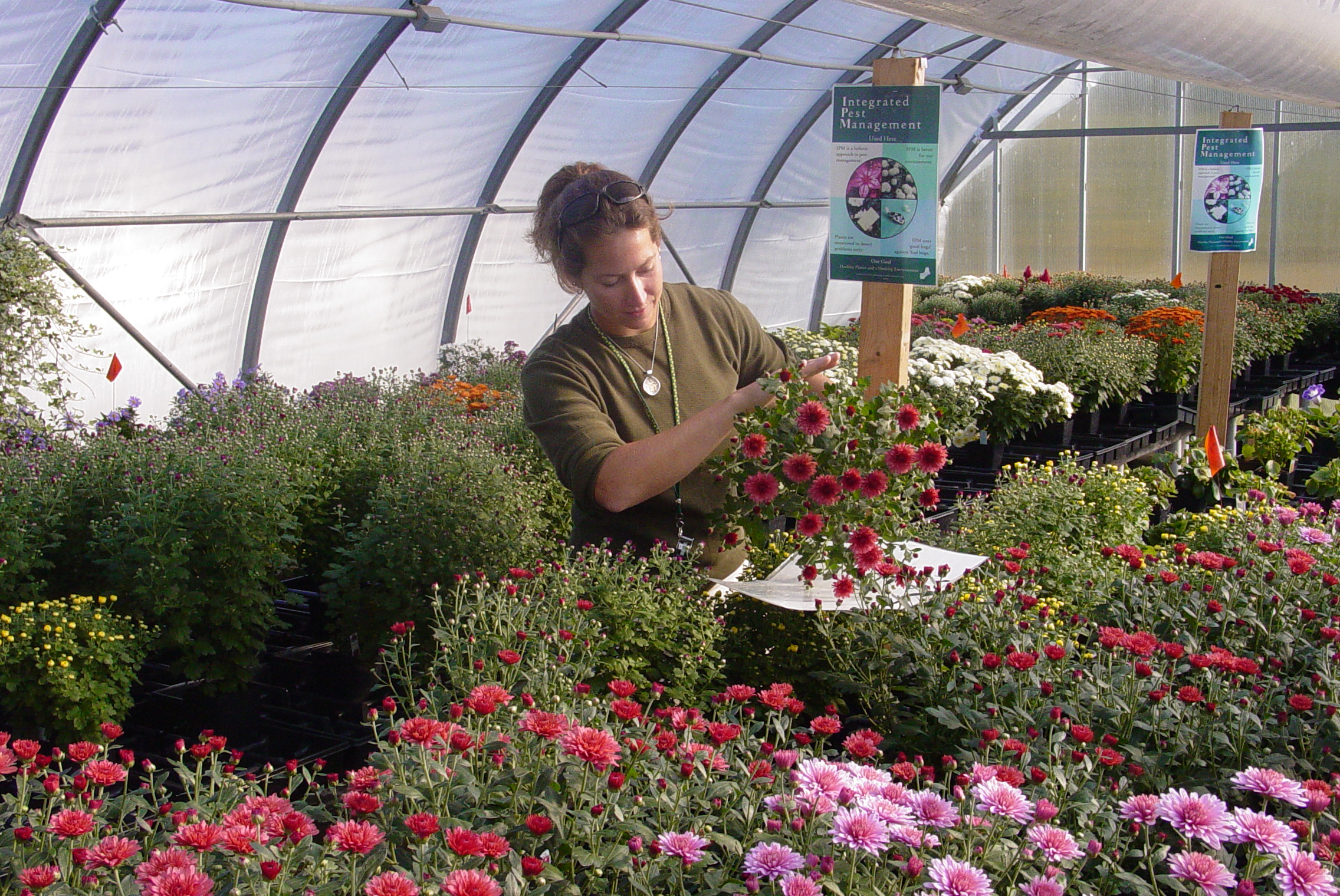 Inspecting Plants