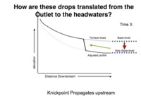 Slide17