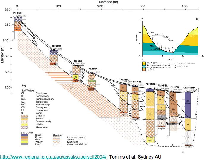 Slide11