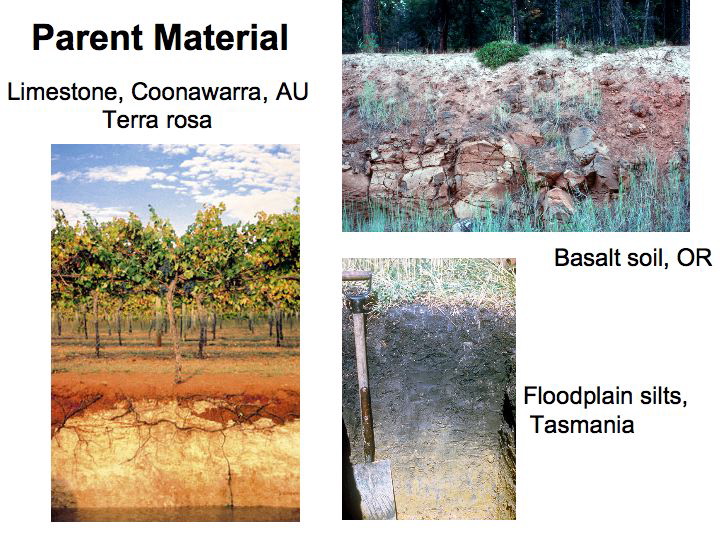 Slide12