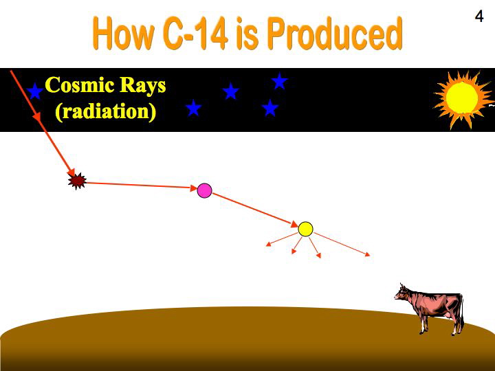 Slide21