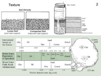 Slide15