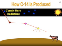 Slide21