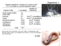 Slide10