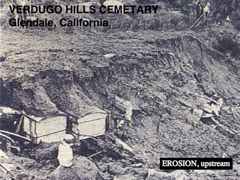 Slide16