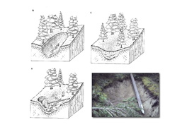 Slide10