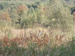 P9240018