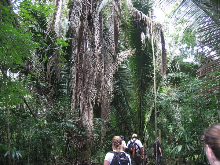 La Milpa trip