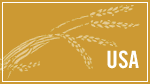 Section Branding
