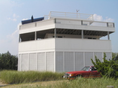 P8110031.JPG