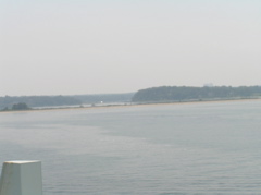 P8110011.JPG