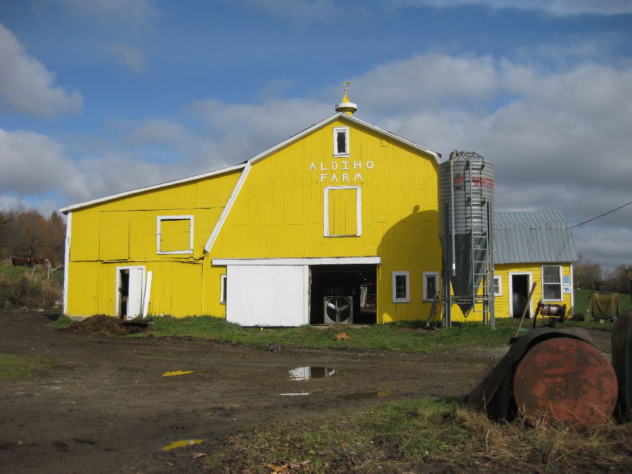 Ground Stable Barn