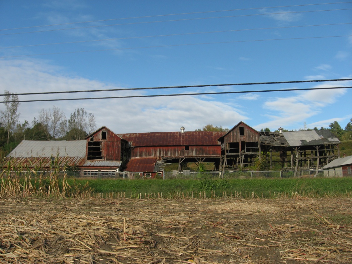 Ground stable dairy barn