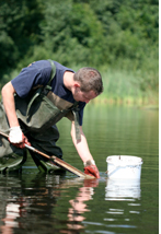 Field Biologist