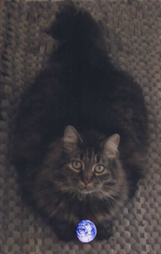 I am your Master, Hear and Obey