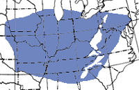Central U.S.