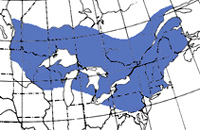  Northeastern U.S. and Southeastern Canada