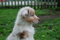 DSC_0011.JPG
