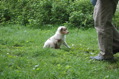 DSC_0023.JPG