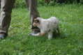 DSC_0024.JPG