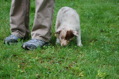 DSC_0028.JPG