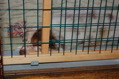 DSC_0031.JPG