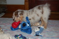 DSC_0037.JPG