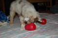 DSC_0039.JPG