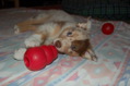 DSC_0046.JPG