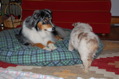 DSC_0061.JPG