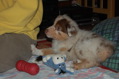 DSC_0066.JPG