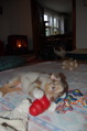 DSC_0074.JPG