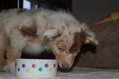 DSC_0087.JPG