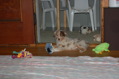 DSC_0096.JPG