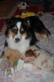 DSC_0127.JPG