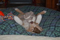 DSC_0081.JPG
