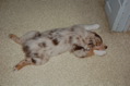 DSC_0089.JPG