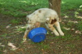 DSC_0007.JPG