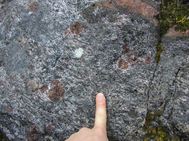 Migmatitic gabbro