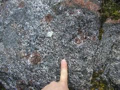 Migmatitic gabbro