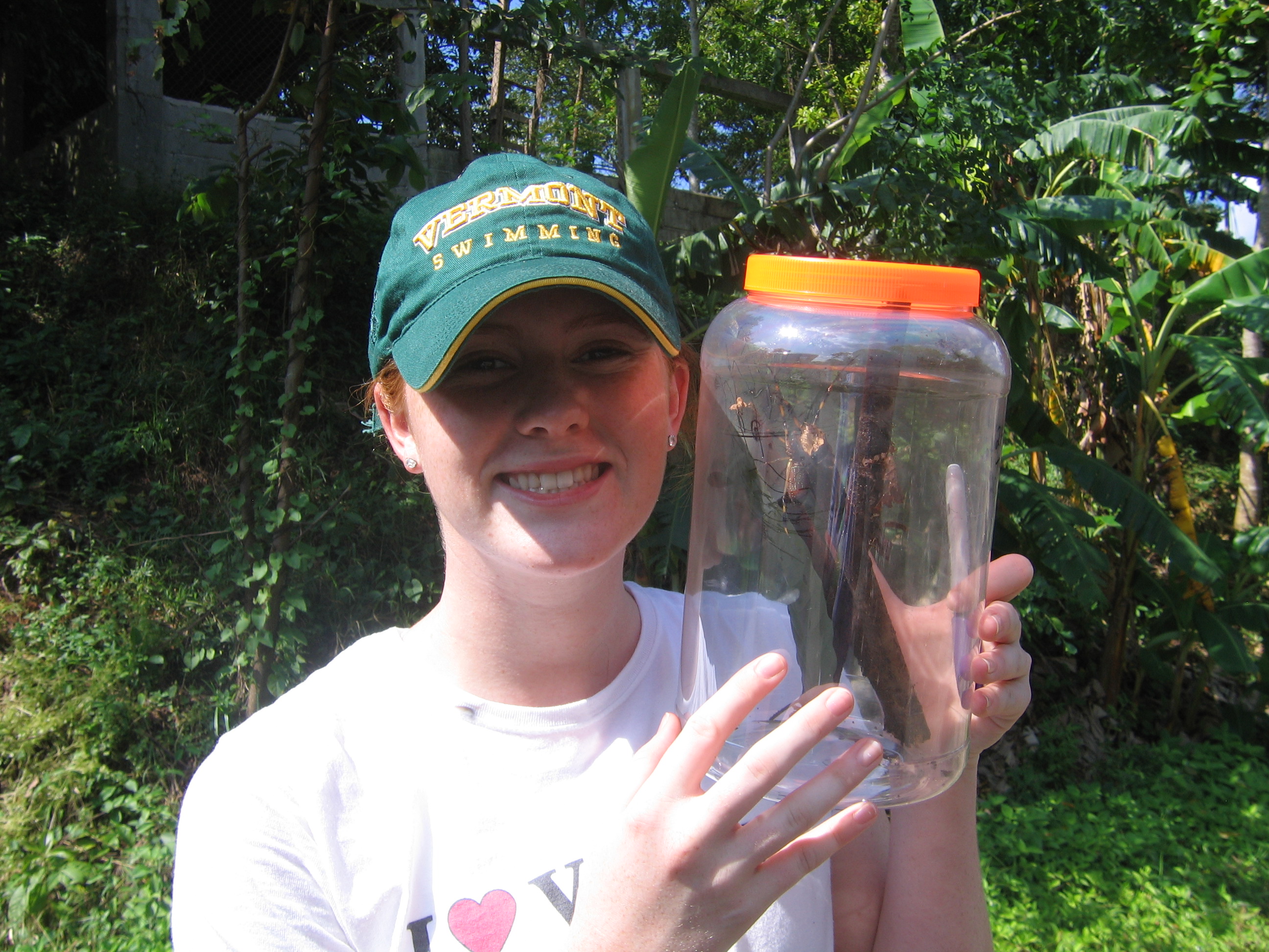 Collecting Nephila in Mexico