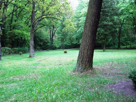 cemetery Uchtspringe 2