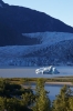 Iceberg and Mendenhall Glacier