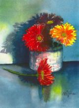 SpringColor