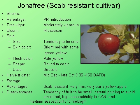Jonafree (Scab resistant cultivar)